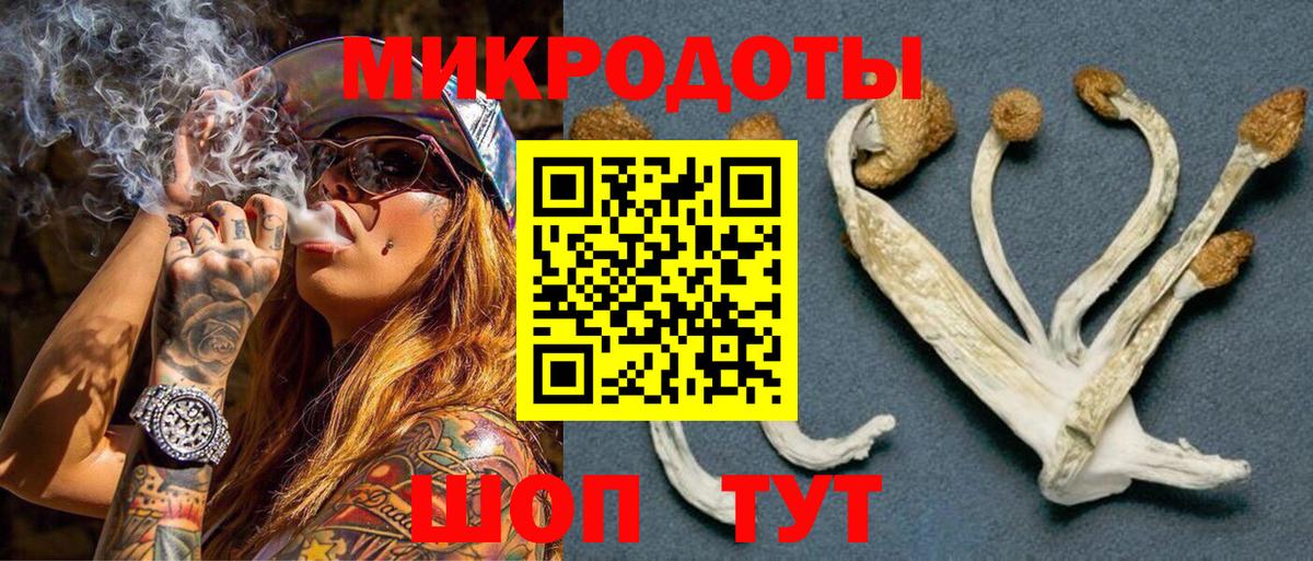 Псилоцибиновые грибы мицелий  Вход с VPN  Губкин 