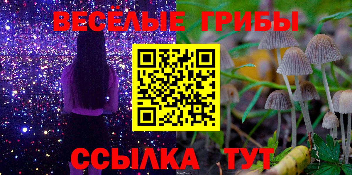 Галлюциногенные грибы прущие грибы Губкин