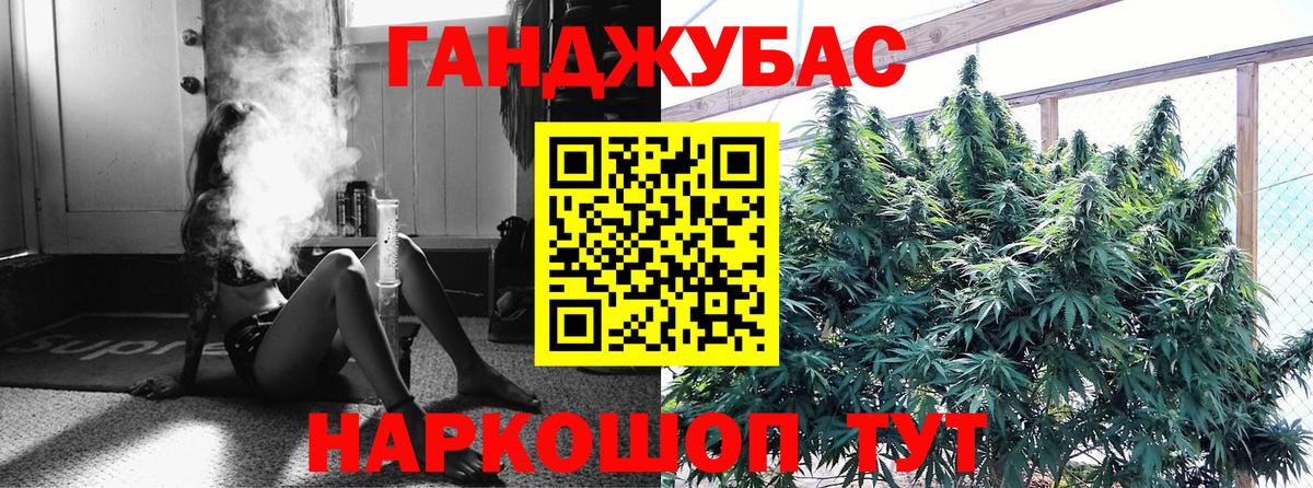 Конопля гибрид  Конопля тримм  Губкин  Вход с VPN  Канабис конопля 